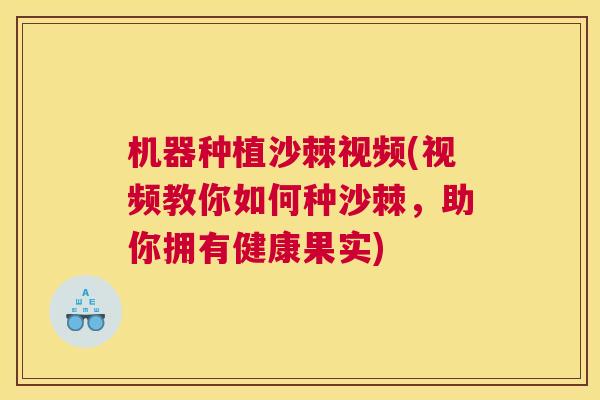 机器种植沙棘视频(视频教你如何种沙棘,助你拥有健康果实)