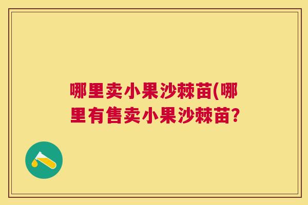 哪里卖小果沙棘苗(哪里有售卖小果沙棘苗?