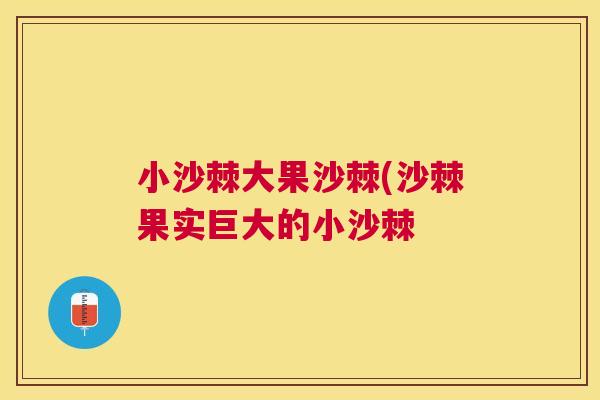 小沙棘大果沙棘(沙棘果实巨大的小沙棘
