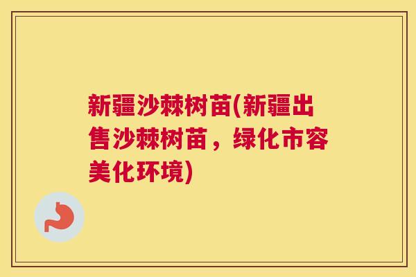 新疆沙棘树苗(新疆出售沙棘树苗，绿化市容美化环境)