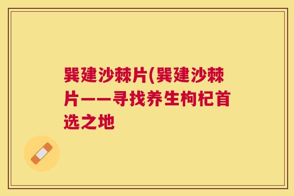 巽建沙棘片(巽建沙棘片——寻找养生枸杞首选之地