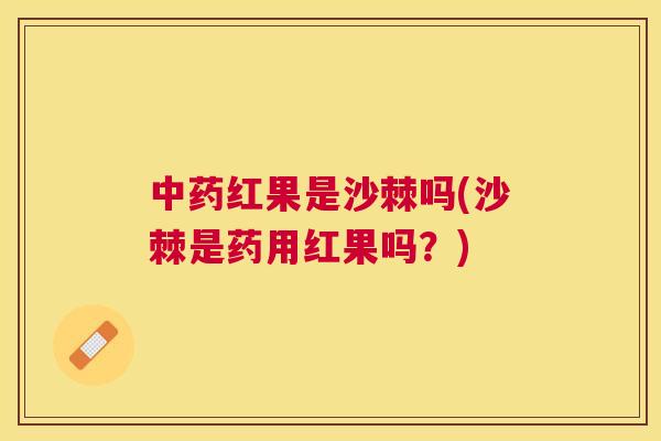 中药红果是沙棘吗(沙棘是药用红果吗？)