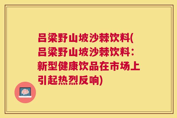 吕梁野山坡沙棘饮料(吕梁野山坡沙棘饮料：新型健康饮品在市场上引起热烈反响)