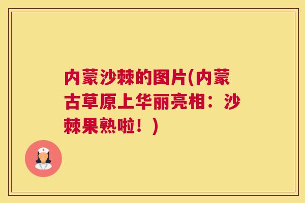 内蒙沙棘的图片(内蒙古草原上华丽亮相:沙棘果熟啦!)