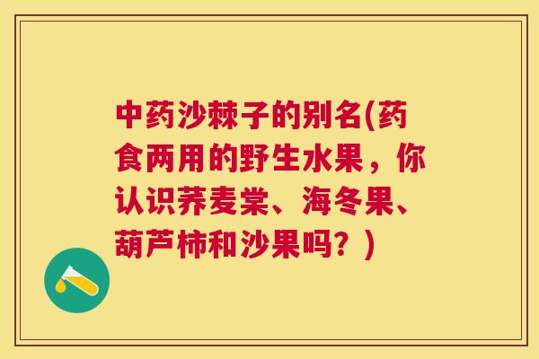 中药沙棘子的别名(药食两用的野生水果,你认识荞麦棠、海冬果、葫芦柿和沙果吗?)