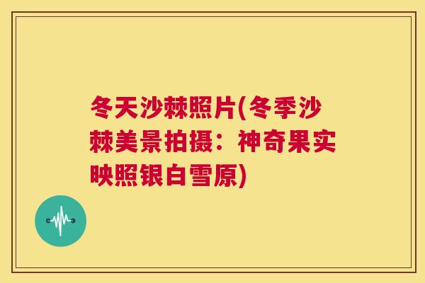 冬天沙棘照片(冬季沙棘美景拍摄:神奇果实映照银白雪原)