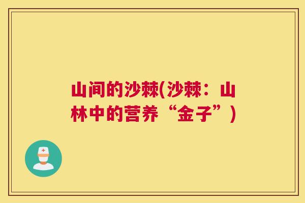 山间的沙棘(沙棘:山林中的营养“金子”)