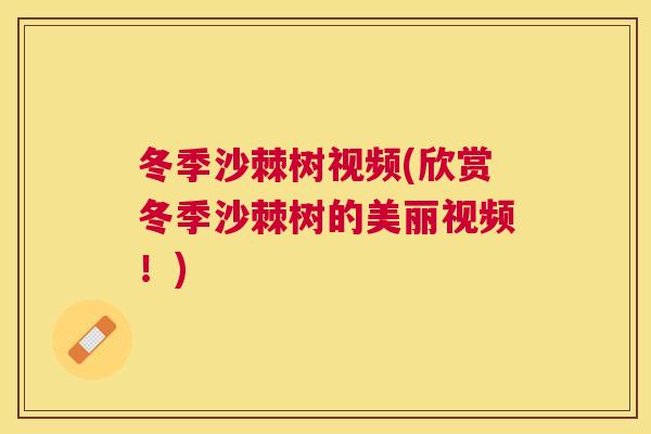 冬季沙棘树视频(欣赏冬季沙棘树的美丽视频!)