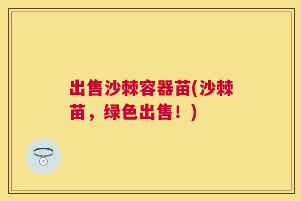 出售沙棘容器苗(沙棘苗,绿色出售!)