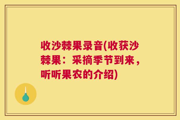 收沙棘果录音(收获沙棘果：采摘季节到来，听听果农的介绍)