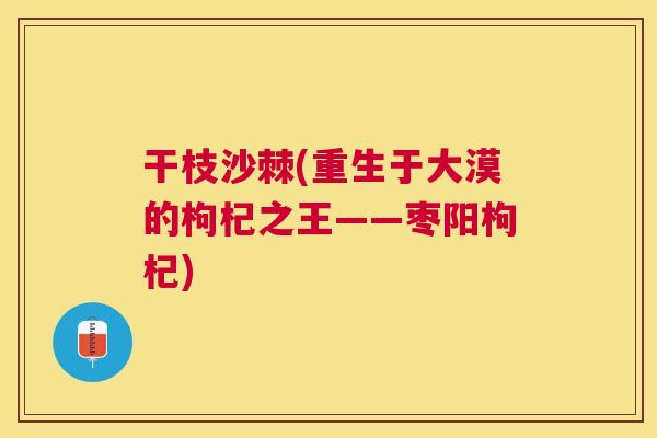 干枝沙棘(重生于大漠的枸杞之王——枣阳枸杞)
