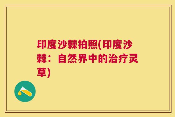 印度沙棘拍照(印度沙棘：自然界中的治疗灵草)