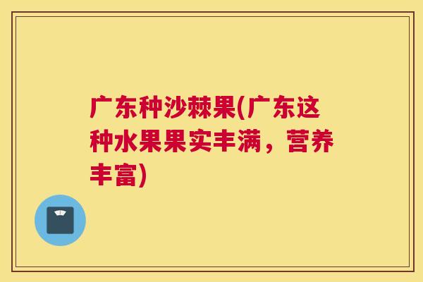广东种沙棘果(广东这种水果果实丰满，营养丰富)