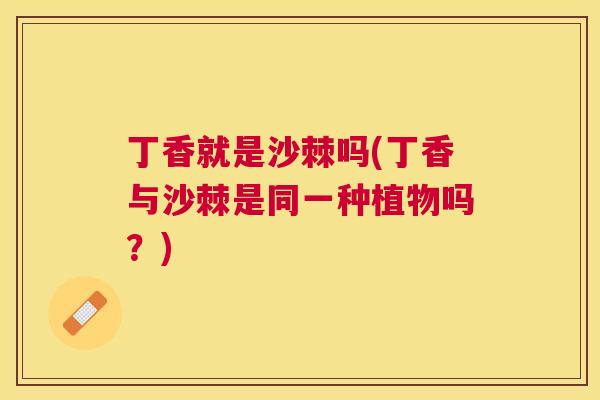 丁香就是沙棘吗(丁香与沙棘是同一种植物吗？)