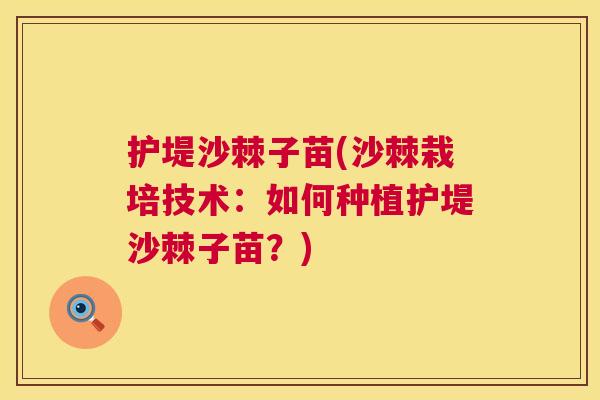 护堤沙棘子苗(沙棘栽培技术:如何种植护堤沙棘子苗?) 护堤沙棘子苗(沙棘栽培技术:如何种植护堤沙棘子苗?)