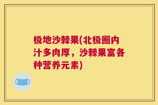 极地沙棘果(北极圈内汁多肉厚，沙棘果富各种营养元素)