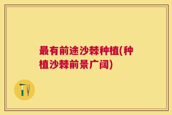最有前途沙棘种植(种植沙棘前景广阔)