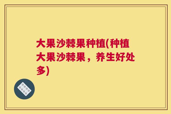 大果沙棘果种植(种植大果沙棘果，养生好处多)