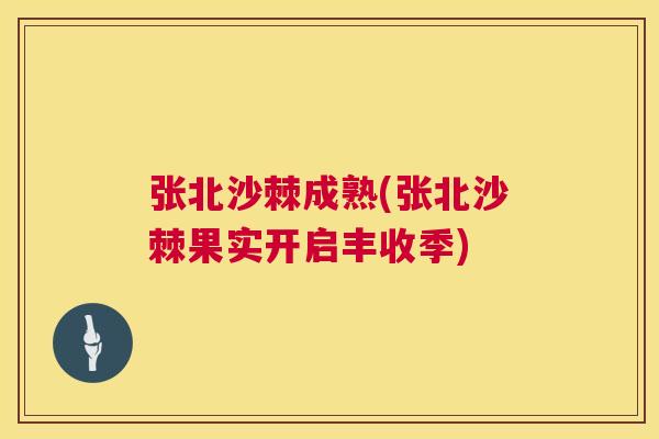 张北沙棘成熟(张北沙棘果实开启丰收季)