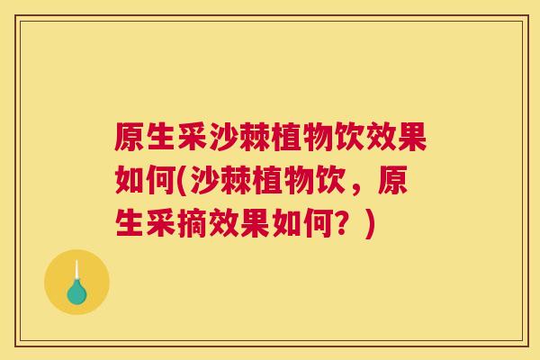 原生采沙棘植物饮效果如何(沙棘植物饮，原生采摘效果如何？)
