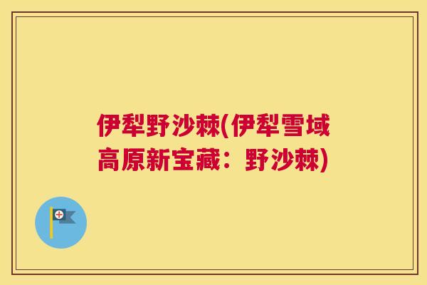 伊犁野沙棘(伊犁雪域高原新宝藏:野沙棘) 伊犁野沙棘(伊犁雪域高原新宝藏:野沙棘)
