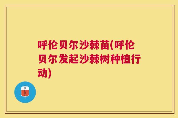 呼伦贝尔沙棘苗(呼伦贝尔发起沙棘树种植行动)