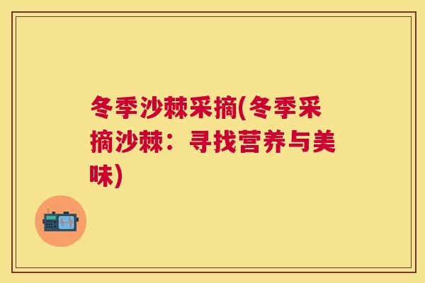 冬季沙棘采摘(冬季采摘沙棘：寻找营养与美味)