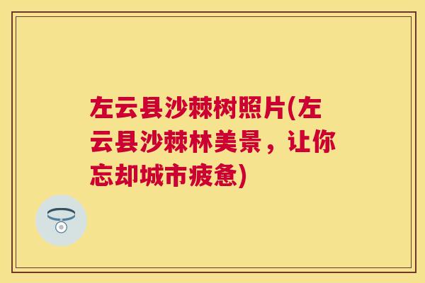左云县沙棘树照片(左云县沙棘林美景，让你忘却城市疲惫)