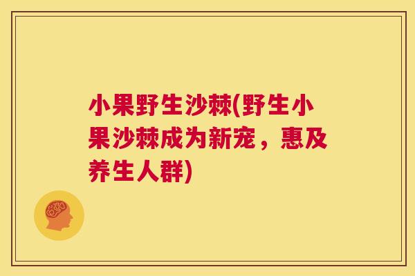 小果野生沙棘(野生小果沙棘成为新宠，惠及养生人群)