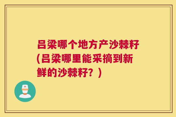吕梁哪个地方产沙棘籽(吕梁哪里能采摘到新鲜的沙棘籽?)