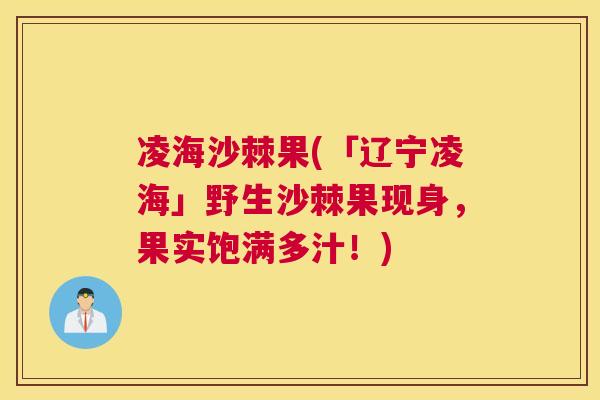 凌海沙棘果(「辽宁凌海」野生沙棘果现身,果实饱满多汁!)