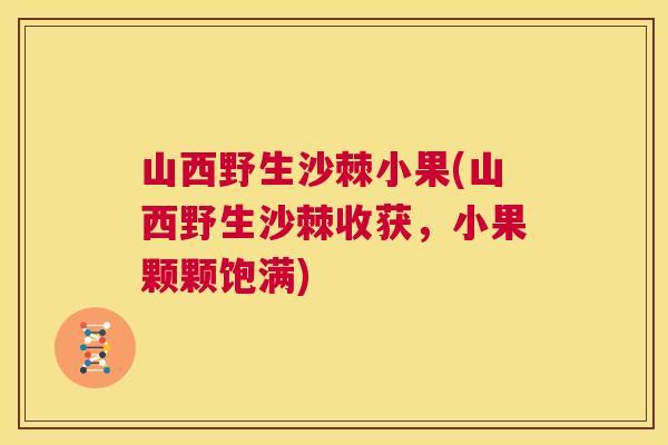 山西野生沙棘小果(山西野生沙棘收获，小果颗颗饱满)
