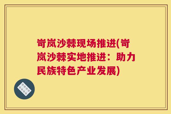 岢岚沙棘现场推进(岢岚沙棘实地推进：助力民族特色产业发展)