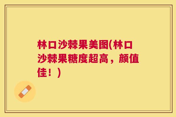 林口沙棘果美图(林口沙棘果糖度超高，颜值佳！)