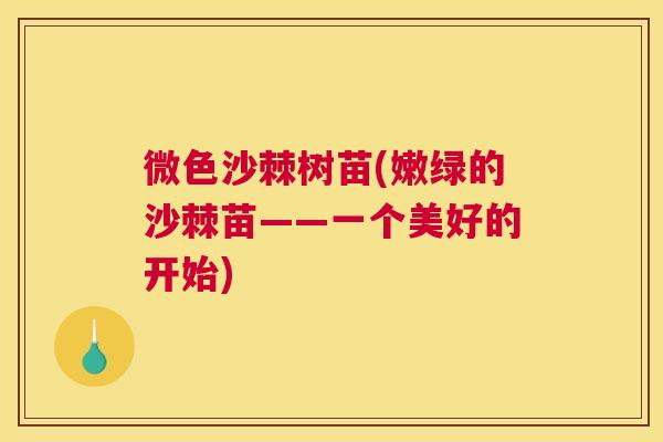 微色沙棘树苗(嫩绿的沙棘苗——一个美好的开始)