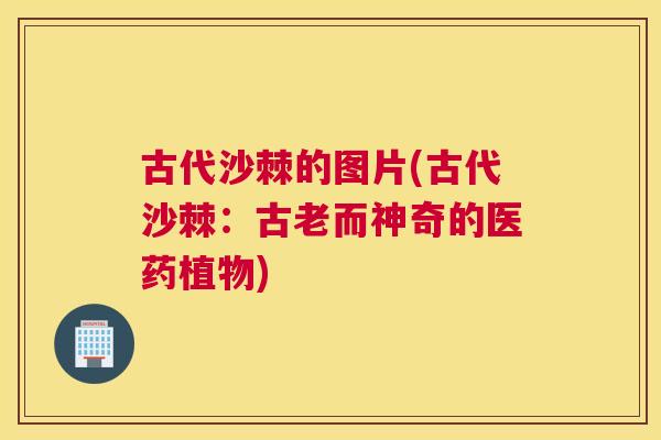 古代沙棘的图片(古代沙棘:古老而神奇的医药植物)