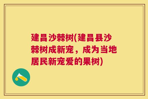 建昌沙棘树(建昌县沙棘树成新宠，成为当地居民新宠爱的果树)