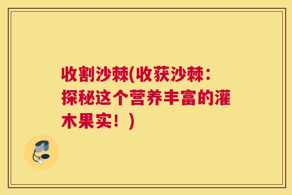 收割沙棘(收获沙棘：探秘这个营养丰富的灌木果实！)