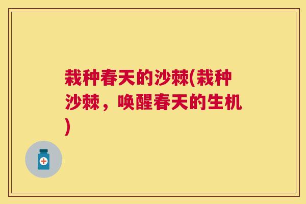 栽种春天的沙棘(栽种沙棘,唤醒春天的生机) 栽种春天的沙棘(栽种沙棘,唤醒春天的生机)