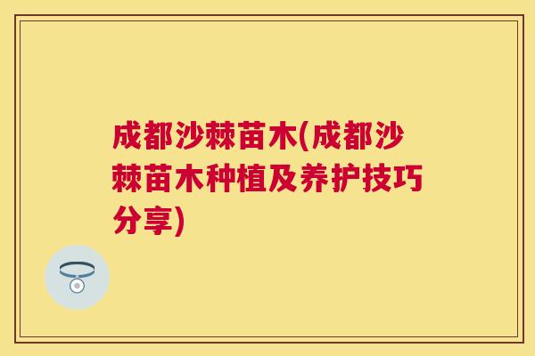 成都沙棘苗木(成都沙棘苗木种植及养护技巧分享)