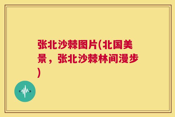 张北沙棘图片(北国美景，张北沙棘林间漫步)