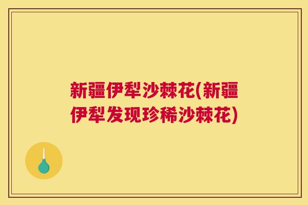 新疆伊犁沙棘花(新疆伊犁发现珍稀沙棘花) 新疆伊犁沙棘花(新疆伊犁发现珍稀沙棘花)
