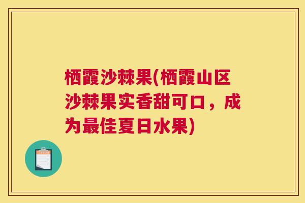 栖霞沙棘果(栖霞山区沙棘果实香甜可口,成为最佳夏日水果)