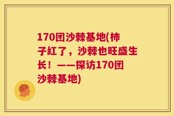 170团沙棘基地(柿子红了，沙棘也旺盛生长！——探访170团沙棘基地)