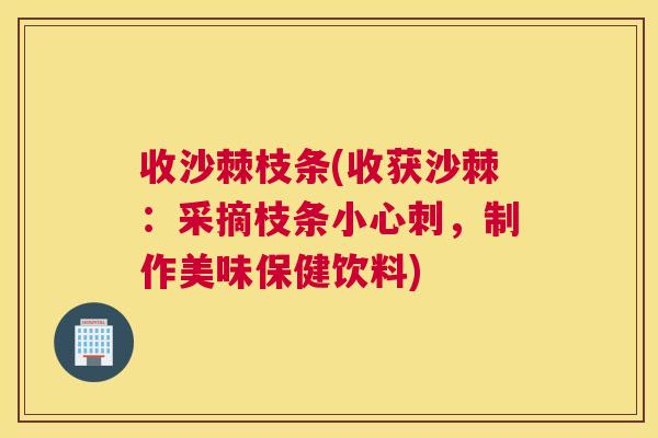 收沙棘枝条(收获沙棘：采摘枝条小心刺，制作美味保健饮料)