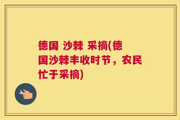 德国 沙棘 采摘(德国沙棘丰收时节，农民忙于采摘)