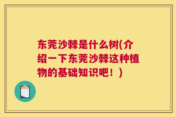 东莞沙棘是什么树(介绍一下东莞沙棘这种植物的基础知识吧！)