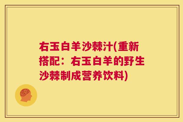 右玉白羊沙棘汁(重新搭配：右玉白羊的野生沙棘制成营养饮料)