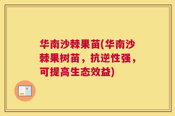 华南沙棘果苗(华南沙棘果树苗,抗逆性强,可提高生态效益)
