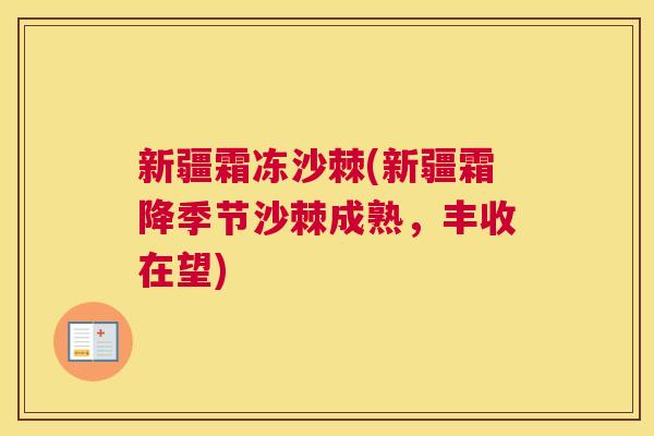 新疆霜冻沙棘(新疆霜降季节沙棘成熟，丰收在望)